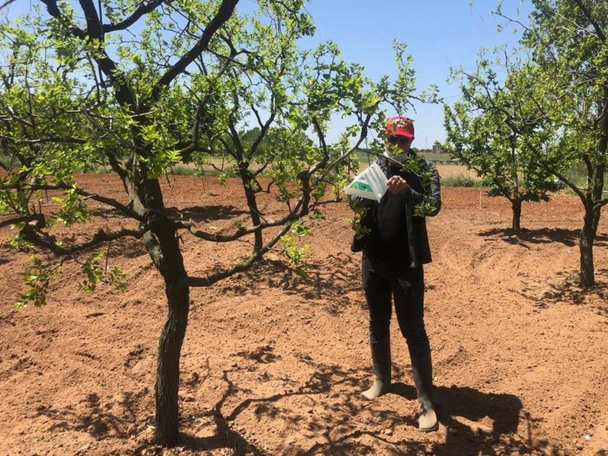 Haşerelerle biyoteknik m&uuml;cadele ve erken uyarı sistemi &ccedil;alışmaları