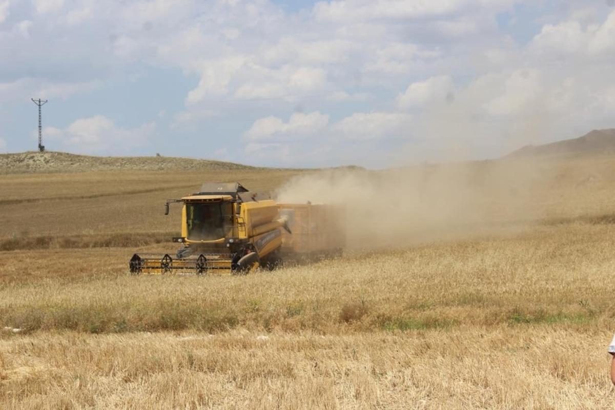 Sivas tarım alanında T&uuml;rkiye 4&rsquo;&uuml;nc&uuml;s&uuml;