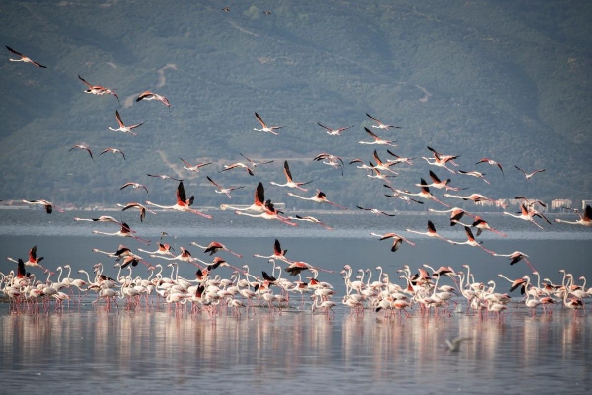 Gediz Deltası&rsquo;nın g&uuml;ney kesimine &lsquo;Doğa Rotası&rsquo;