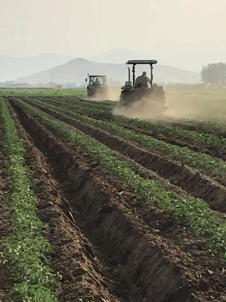 Tireli çiftçiler sıcağa rağmen çalışıyor G2