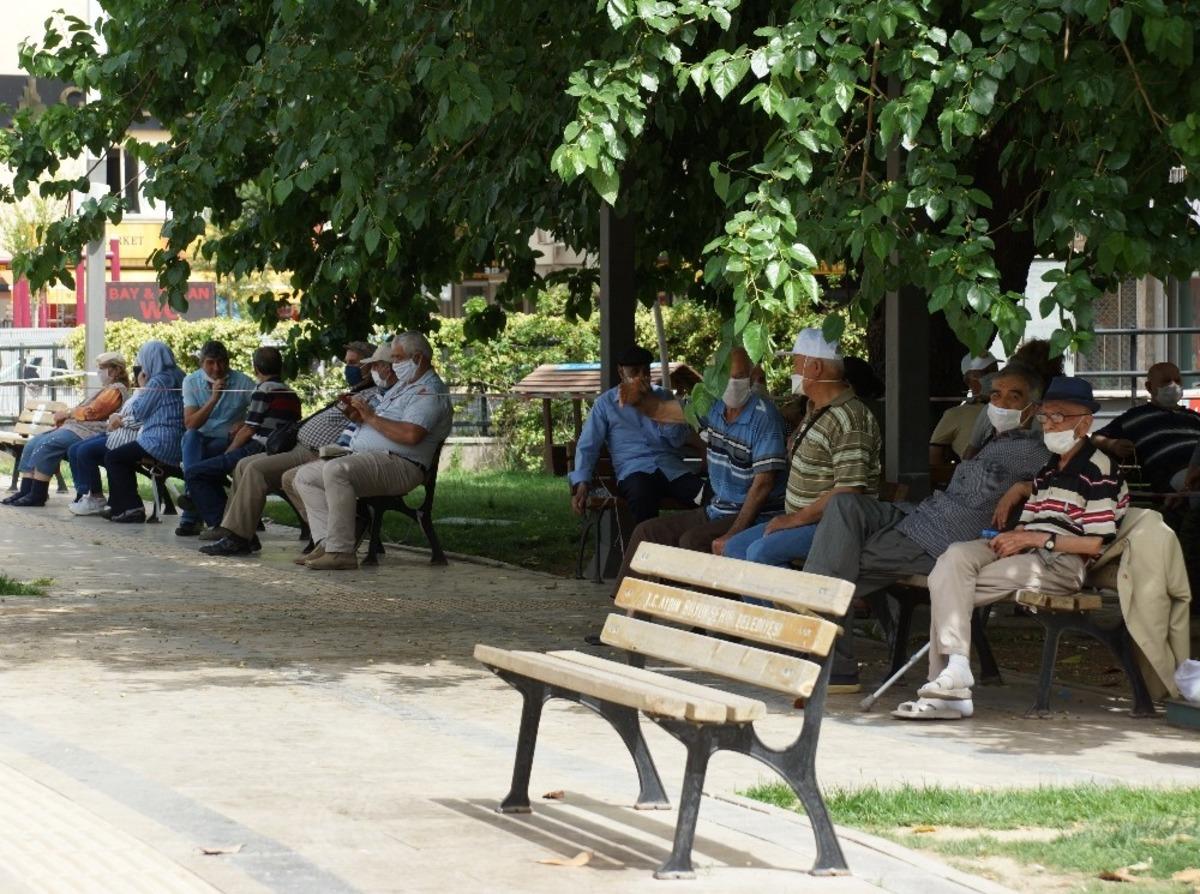 Ağa&ccedil; g&ouml;lgeleri yaşlılara korunak oldu
