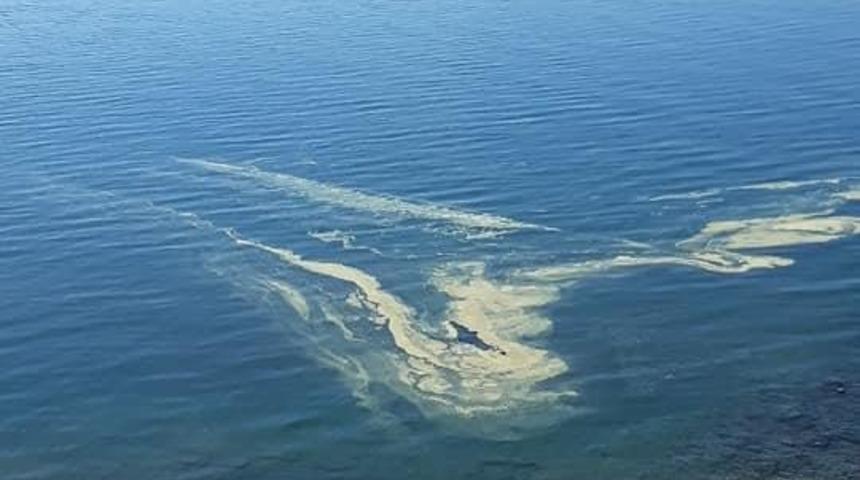 Denizdeki renk değişiminin polen kaynaklı olduğu a&ccedil;ıklandı