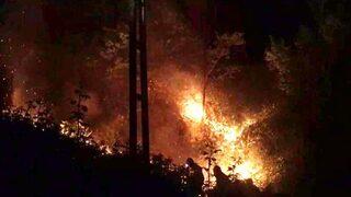 Rize'de orman yangını! 6 saatte söndürüldü