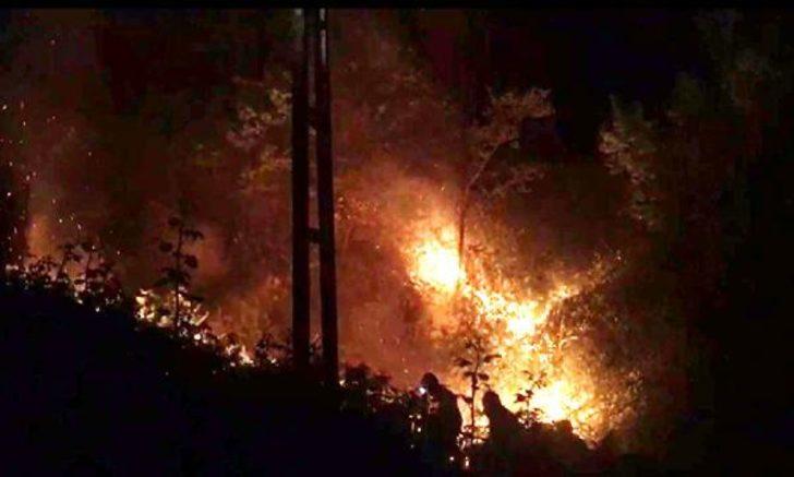 Rize'de orman yangını! 6 saatte söndürüldü G1