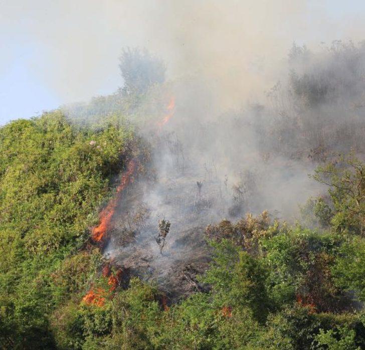 Rize'de orman yangını! 6 saatte söndürüldü G2
