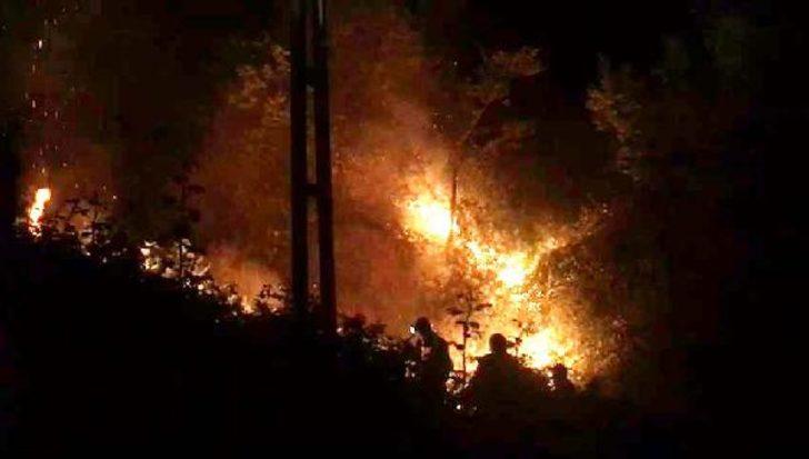 Rize'de orman yangını! 6 saatte söndürüldü G4