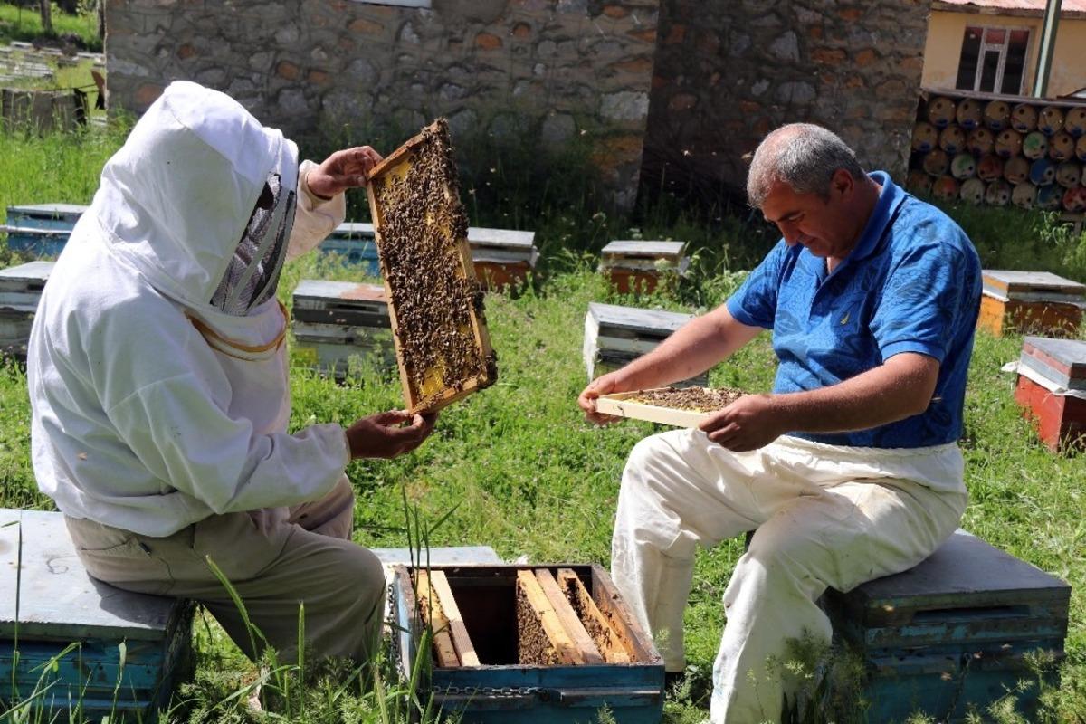 Bal &uuml;retiminde &lsquo;korona&rsquo; hamlesi