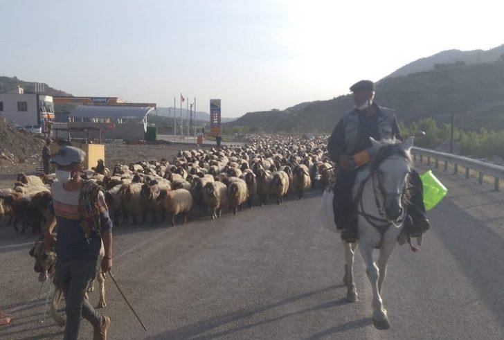 Göçerler zorlu yolculuklarını tamamladı G1
