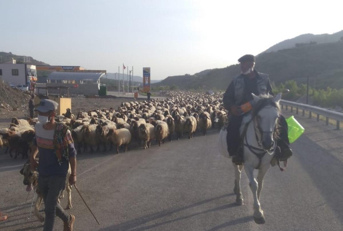 G&ouml;&ccedil;erler zorlu yolculuklarını tamamladı