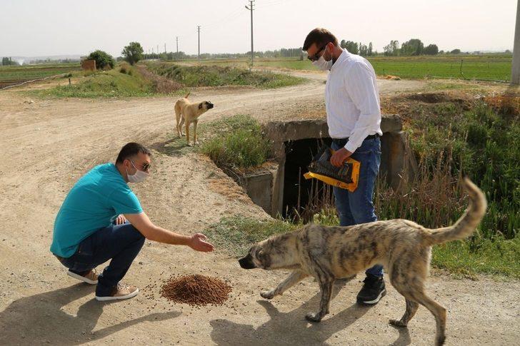 ESO, sokaktaki canları unutmadı G1