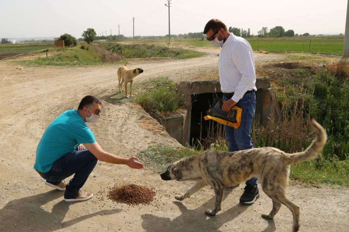 ESO, sokaktaki canları unutmadı