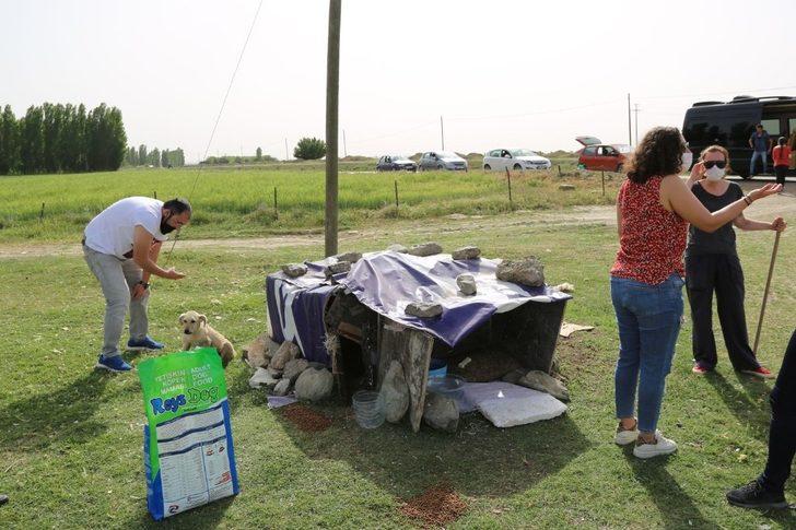 ESO, sokaktaki canları unutmadı G2