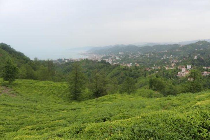 Rize'de alarm verildi! Takviye ekipler görevlendirilecek G1