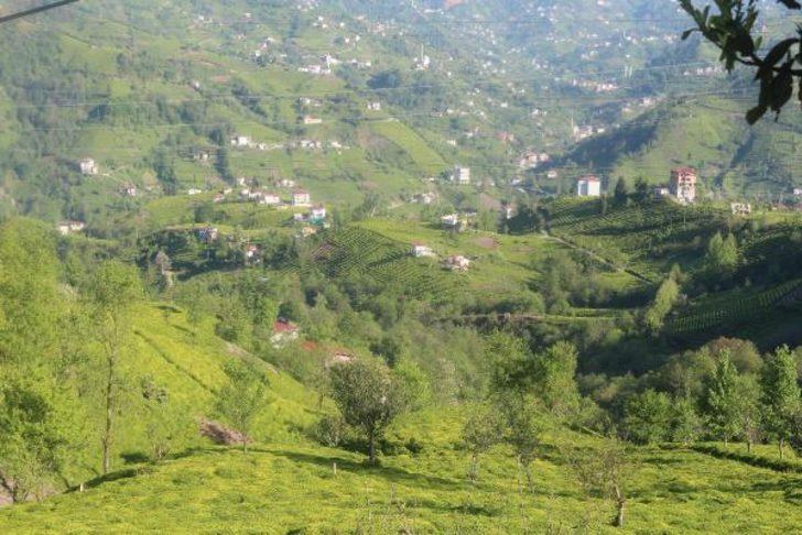 Rize'de alarm verildi! Takviye ekipler görevlendirilecek G2