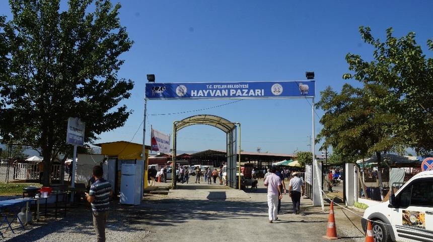 Kovid-19 tedbirleri kapsamında &Ccedil;eştepe, Nazilli ve &Ccedil;ine Hayvan pazarları a&ccedil;ıldı