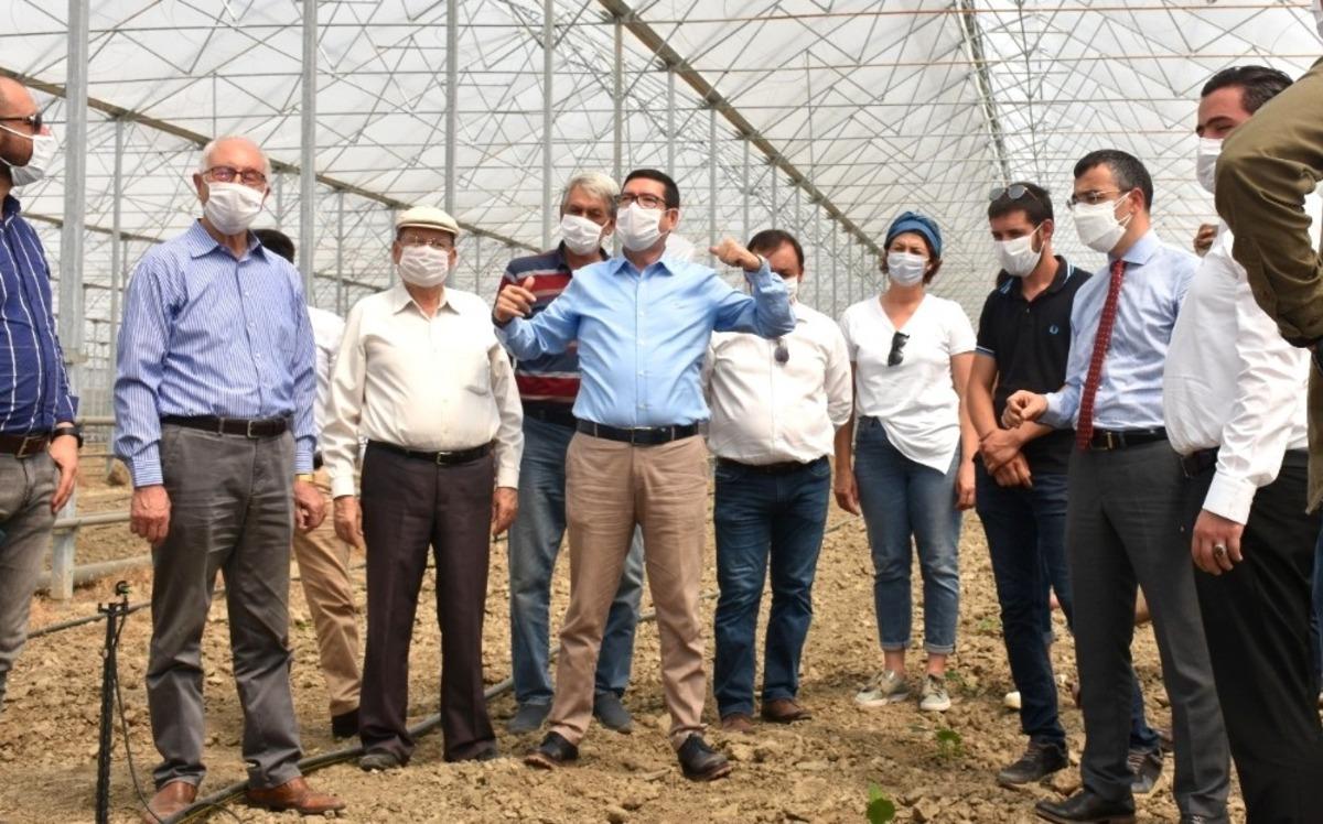 Milas&rsquo;a ilk muz fidanı t&ouml;renle dikildi