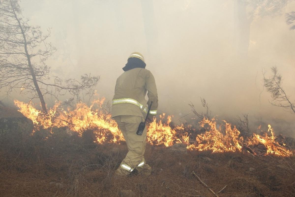Muğla&rsquo;da ormancılar teyakkuzda