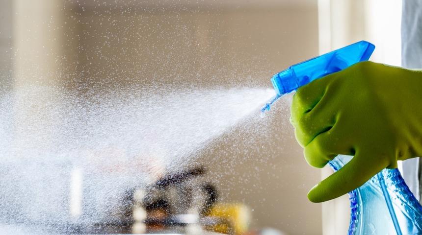 Kendi toz alma spreyinizi yapabilirsiniz! İşte harika sonu&ccedil;lar veren 2 doğal sprey tarifi...