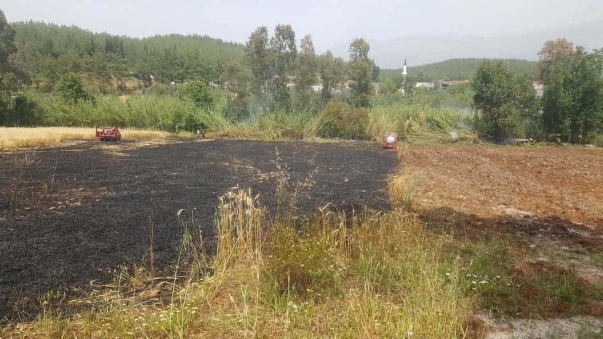 Seydikemer&rsquo;de 4 d&ouml;n&uuml;m buğday yandı