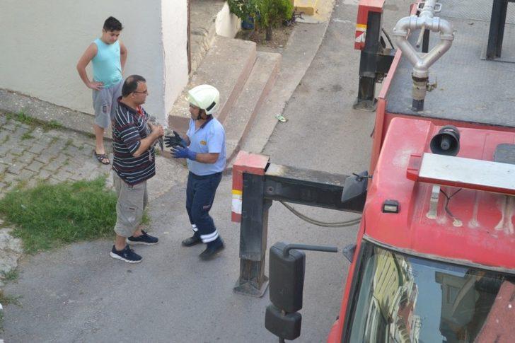 Düşen martı yavruları yuvalarına bırakıldı G3