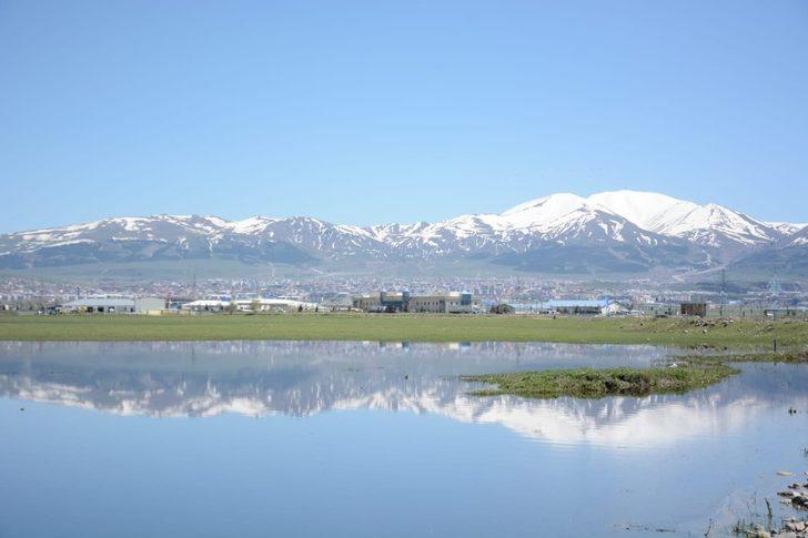 Daphan ovası göle dönüştü! Görenleri büyüleyen manzara G2