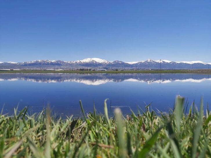 Daphan ovası göle dönüştü! Görenleri büyüleyen manzara G3