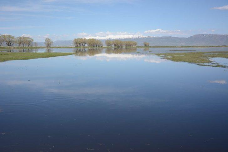 Daphan ovası göle dönüştü! Görenleri büyüleyen manzara G4