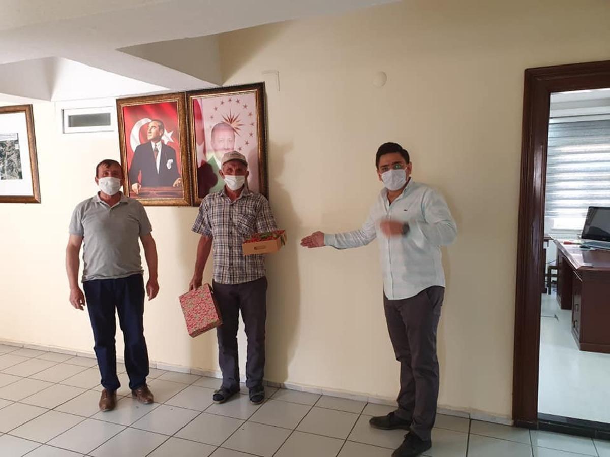 Şaphane&rsquo;de &rsquo;&rsquo;Erkenci kiraz&rsquo;&rsquo; hasadı başladı