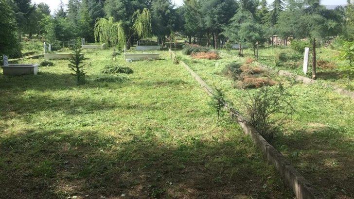 Bayram öncesi mezarlıklar  temizleniyor G4