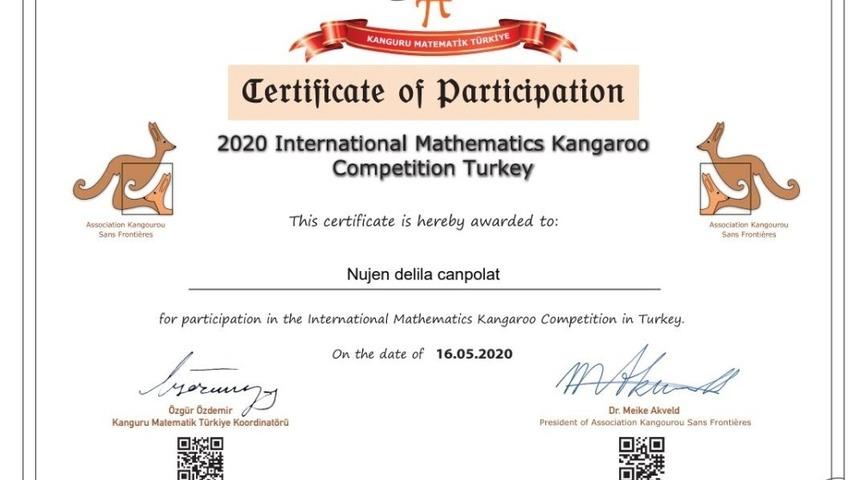 &Ccedil;ınarlı 4&rsquo;&uuml;nc&uuml; sınıf &ouml;ğrencisi Uluslararası Kanguru Matematik Yarışmasında 1&rsquo;inci oldu