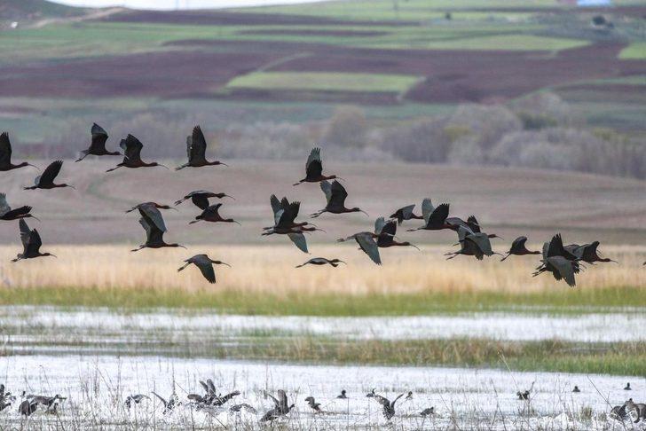 Vali Ayhan’dan foto safari G1