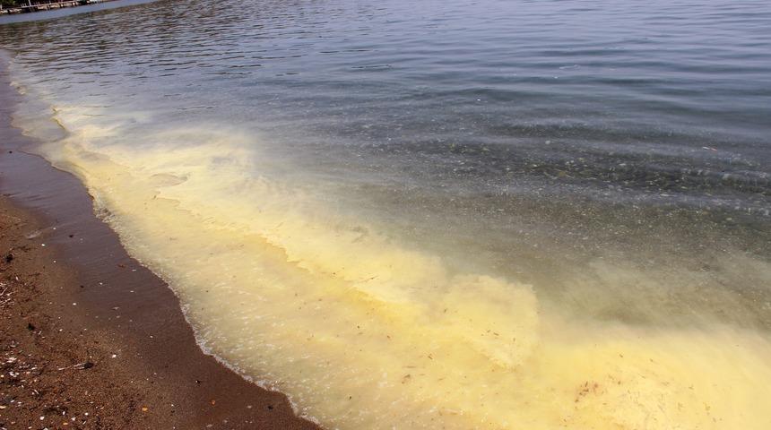 Şaşkına çeviren görüntü! Bodrum'da denizin rengi sarıya döndü