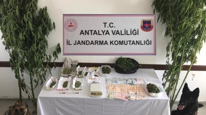 Serada uyuşturucu &uuml;retimine jandarma baskını