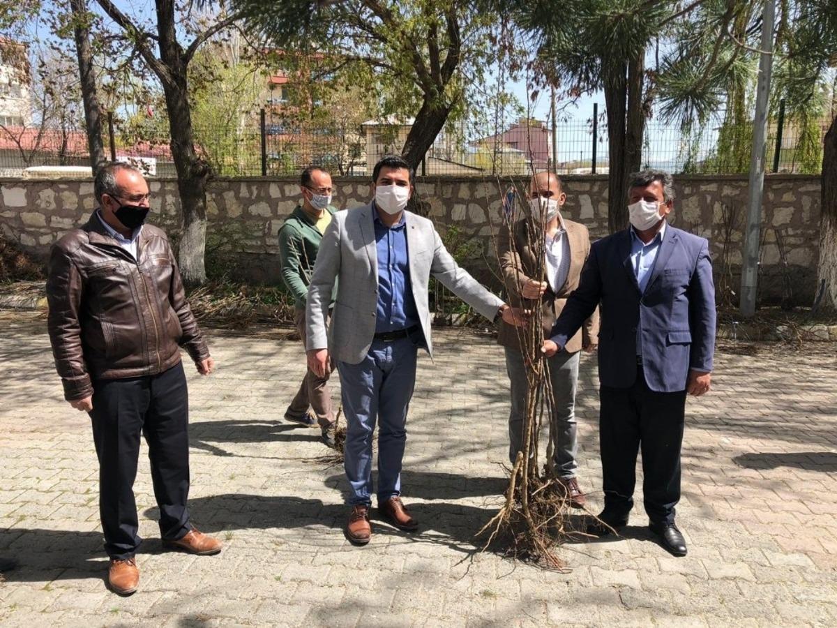 Diyadin Kaymakamı Doğan, 2 bin meyve ağacını vatandaşlara dağıttı