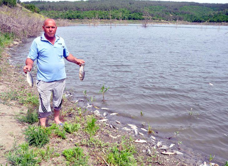 Tekirdağ'ın Çokal Barajı'nda binlerce balık kıyıya vurdu G1