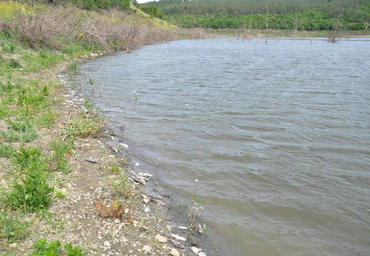 Tekirdağ'ın Çokal Barajı'nda binlerce balık kıyıya vurdu G5