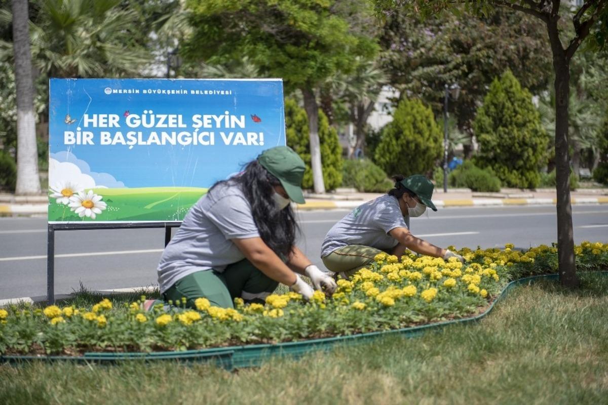 Mersin &ccedil;i&ccedil;ek a&ccedil;ıyor