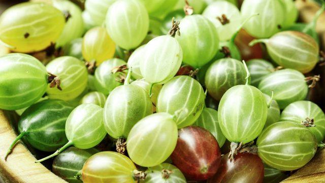 Kimyasal içermiyor! Beyaz saçları kapatmanın doğal yolları