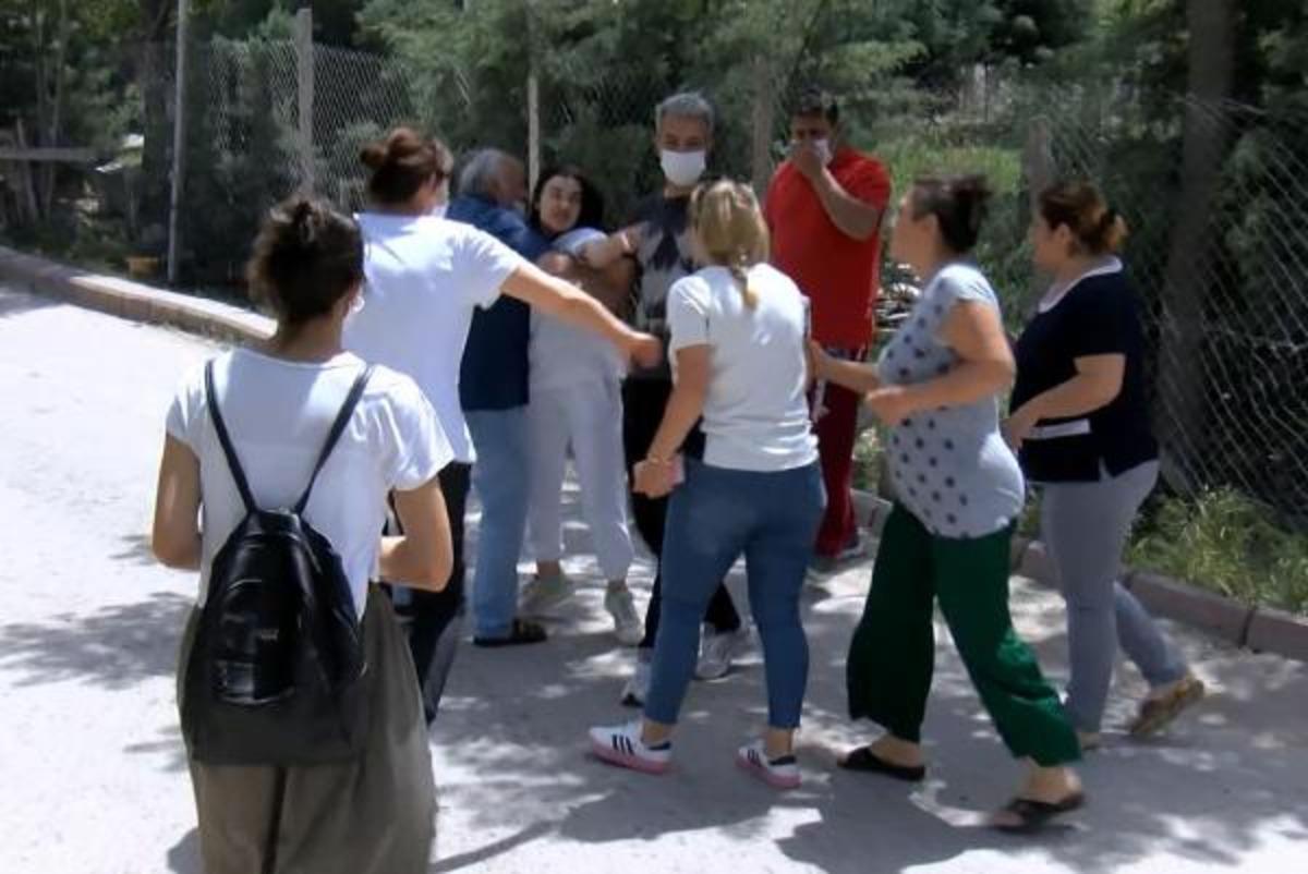 Sitede 'k&ouml;pek besleme' kavgası! Soğan ve patatesle saldırdılar