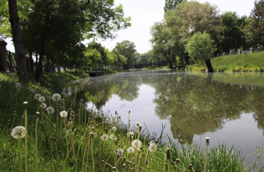 Doğa kendini yeniliyor! Karantina s&uuml;reci havayı temizledi