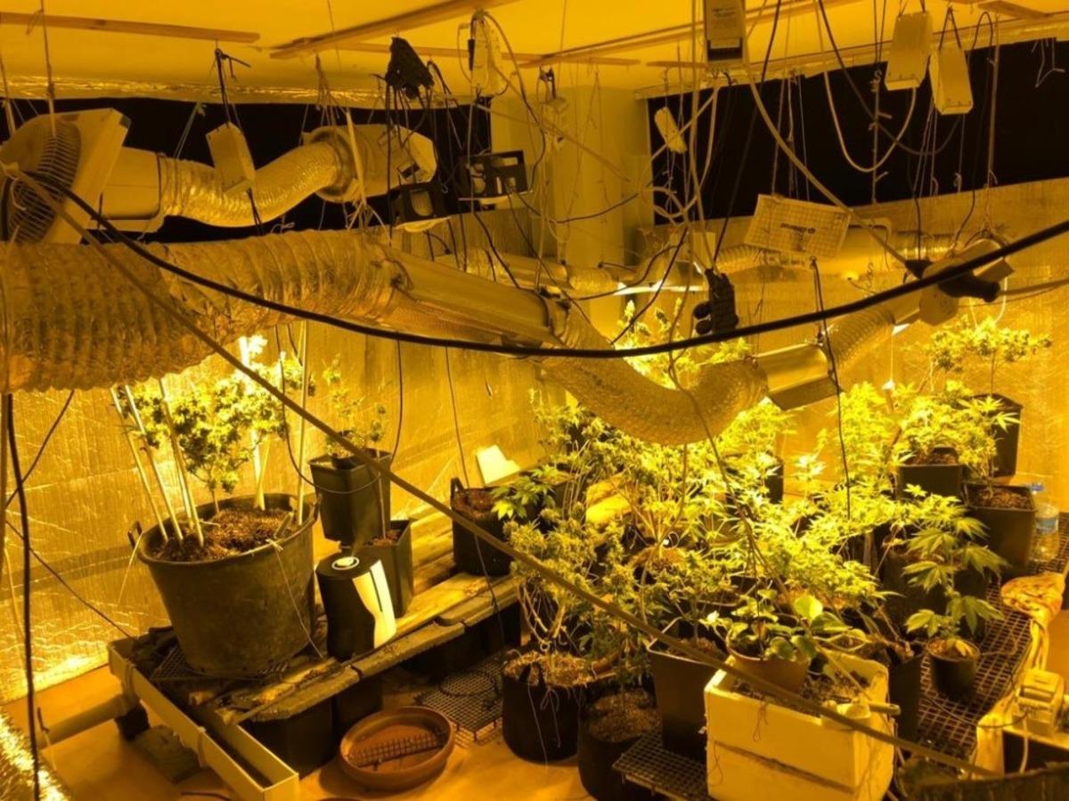 Evini uyuşturucu tarlasına &ccedil;eviren zanlı su&ccedil;&uuml;st&uuml; yakalandı