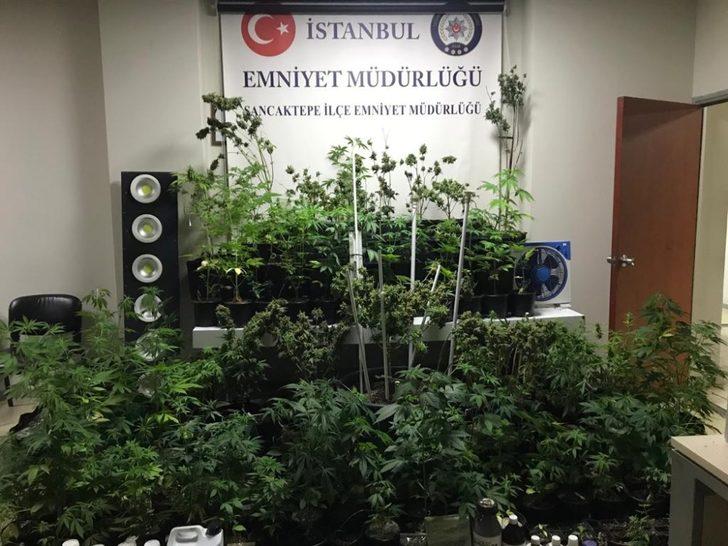 Evini uyuşturucu tarlasına çeviren zanlı suçüstü yakalandı G2