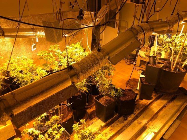 Evini uyuşturucu tarlasına çeviren zanlı suçüstü yakalandı G3