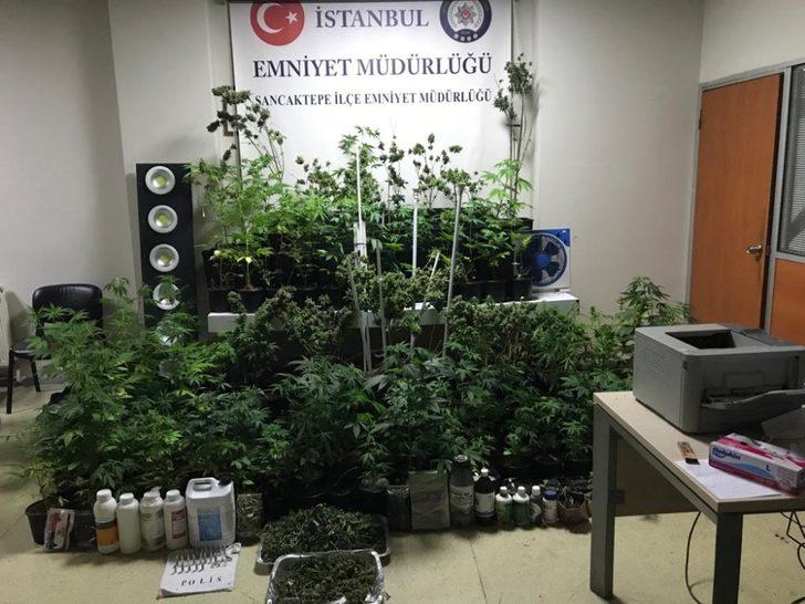 Evini uyuşturucu tarlasına çeviren zanlı suçüstü yakalandı G4