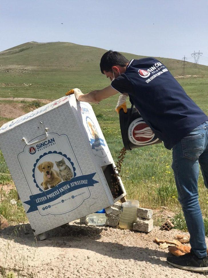 Sincan’da kısıtlama günlerinde ekipler çalışmalarına tam gaz devam ediyor G3