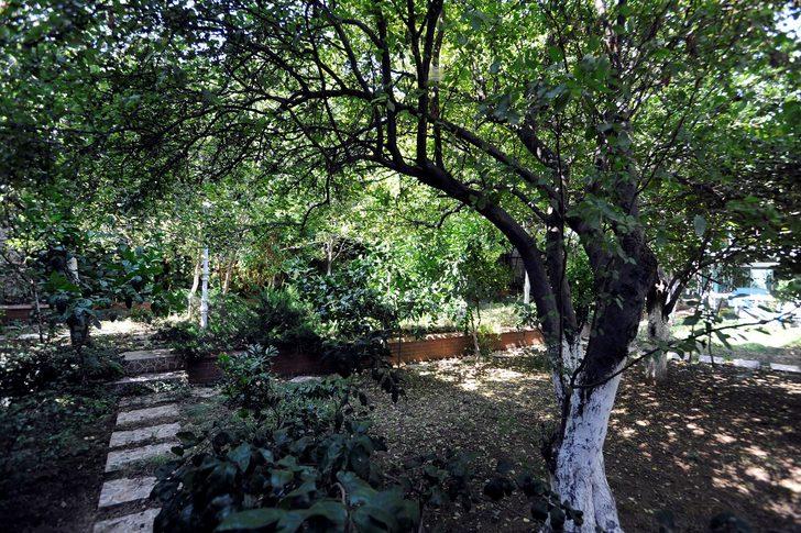 Tarihi köşk 100 milyon liraya satışa çıkarıldı G5