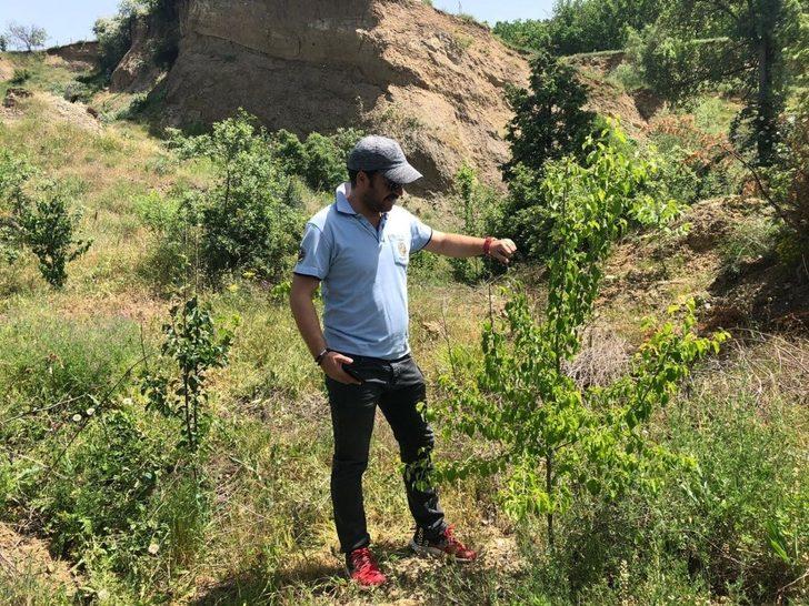 Gürleyikte yüzde 80 başarı G2