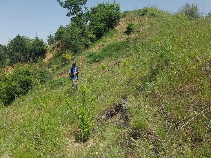 Gürleyikte yüzde 80 başarı G3