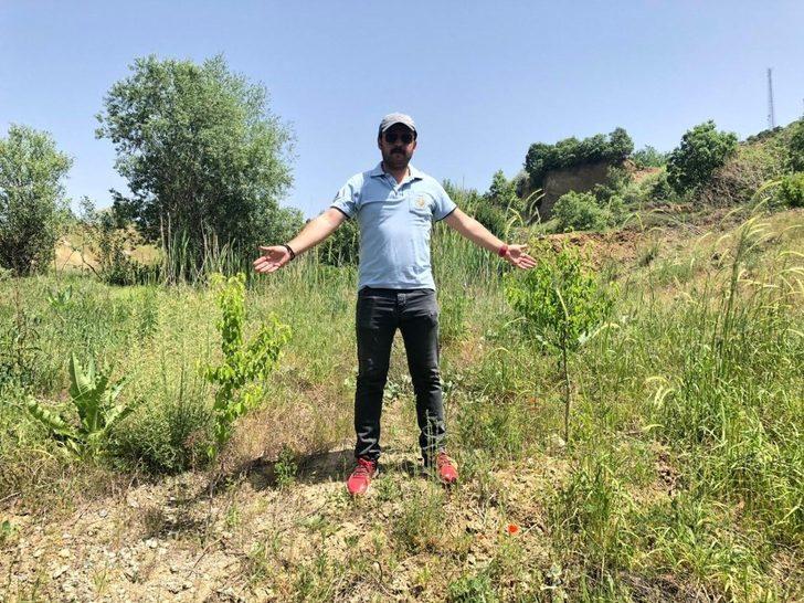 Gürleyikte yüzde 80 başarı G4