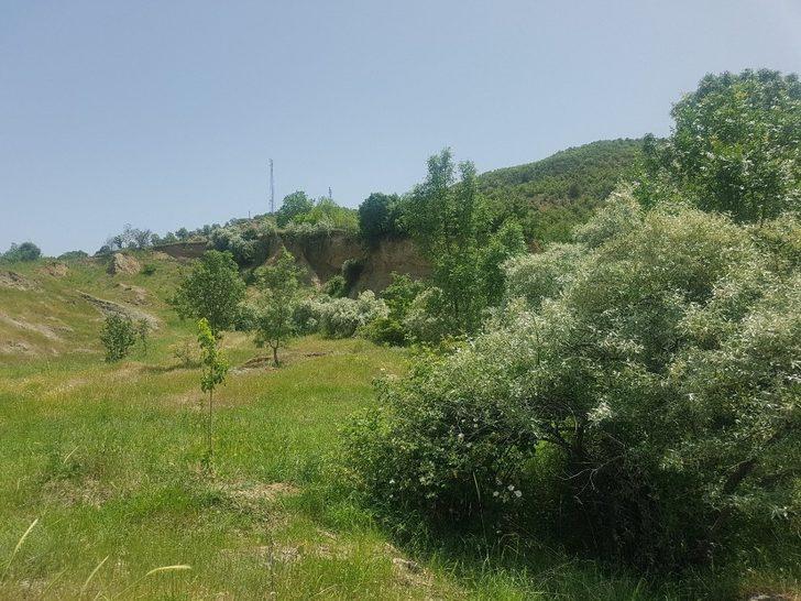 Gürleyikte yüzde 80 başarı G5